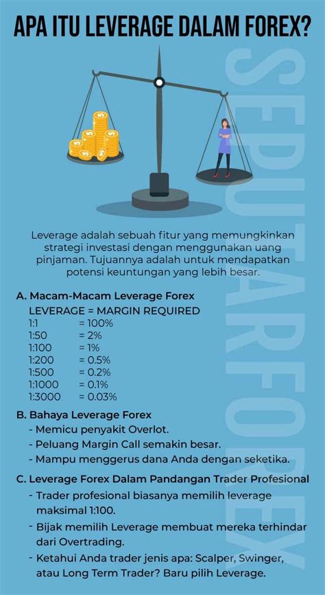 Apa Itu Leverage Di Forex Panduan Lengkap Untuk Pemula