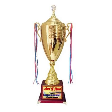 Aluminium Golden Metal Cup Trophy For Winners Size 25 30 Inch At Rs