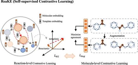 Self Supervised Contrastive Molecular Representation Learning With A Chemical Synthesis