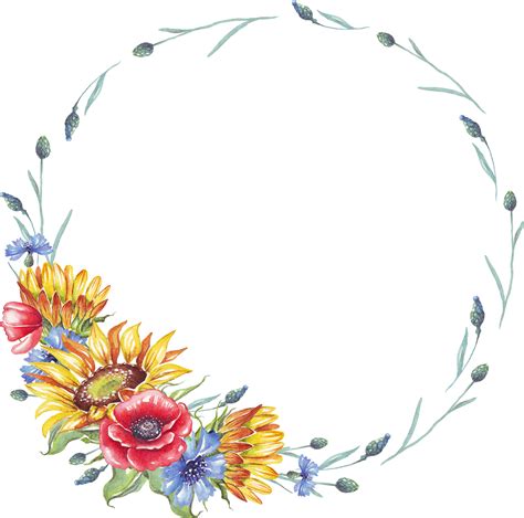 Wreath Watercolor Sunflowers Cornflowers And Poppies 21463085 Png