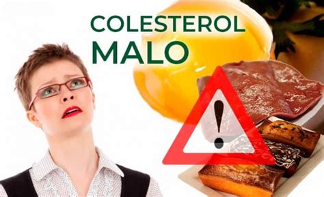 Cu Les Son Los Alimentos Que Suben El Colesterol Enterate Delicias