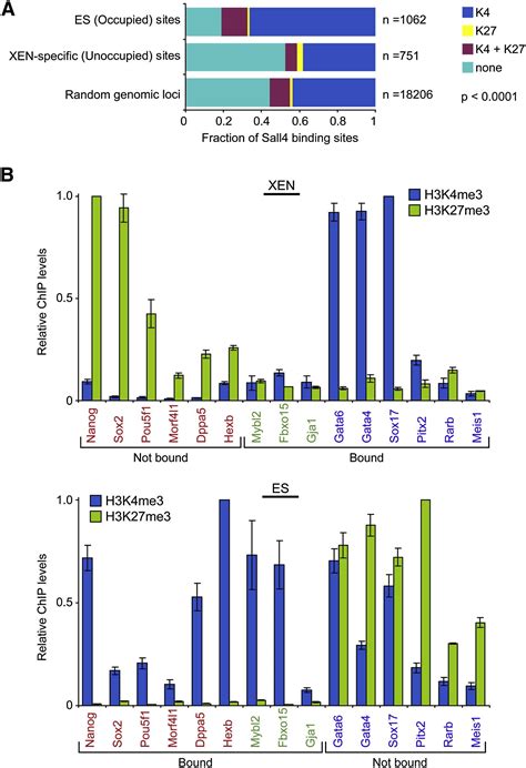 Sall4 Regulates Distinct Transcription Circuitries In Different