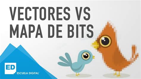 Diferencias Entre Vector Y Mapa De Bits By Nazlhy Julieth Gomez Cano