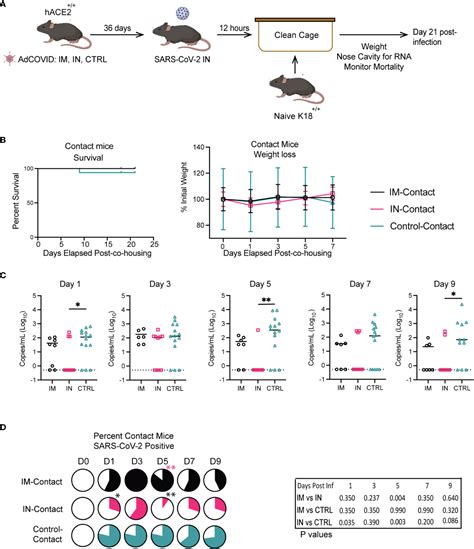 Frontiers The Role Of Vaccination Route With An Adenovirus Vectored