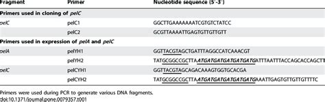 Oligonucleotide Primers Used For The Construction Of Plasmids