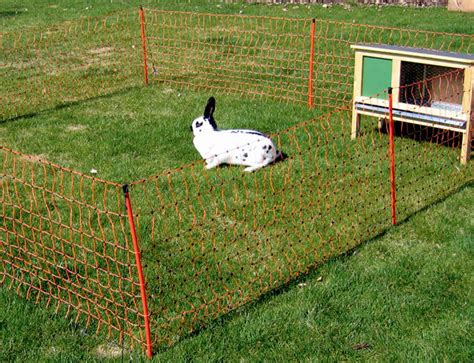 Best Rabbitproof Fence | Save Your Garden - 2020