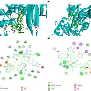 The Binding Model Of Raltegravir And Ecteinascidin Against CD13 A