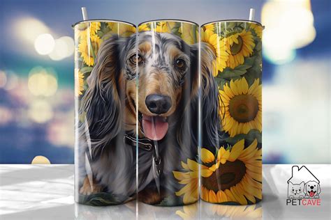 Intense Close Ups Dachshund Tumbler Wrap Graphic By Pet Cave Creative