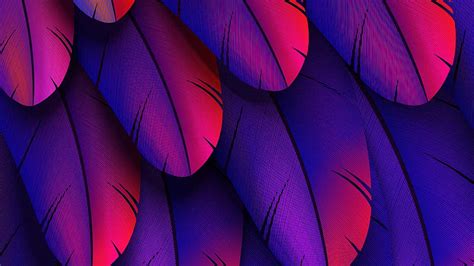 Pink Purple Feathers Abstract Hd Wallpaper Peakpx