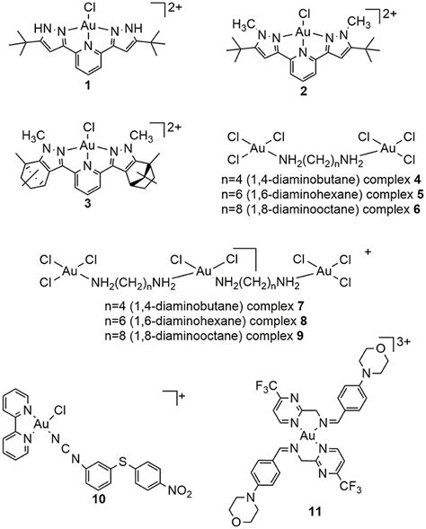 Frontiers Gold Iii Complexes An Overview On Their Kinetics Interactions With Dna Bsa