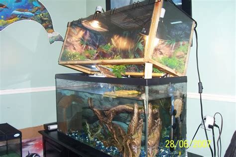 Tank Setup (above basking) - Indoor Setups.Aquariums and Tubs - Turtle Times Forums Aquatic ...