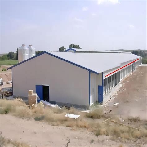 Easy To Building Large Scale Steel Structure Chicken Poultry House