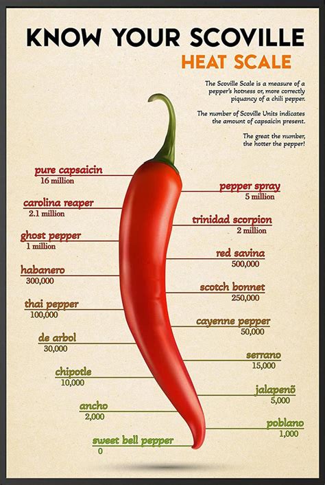 Know Your Scoville Heat Scale Wall Art Spiciness And Pungency In Hot