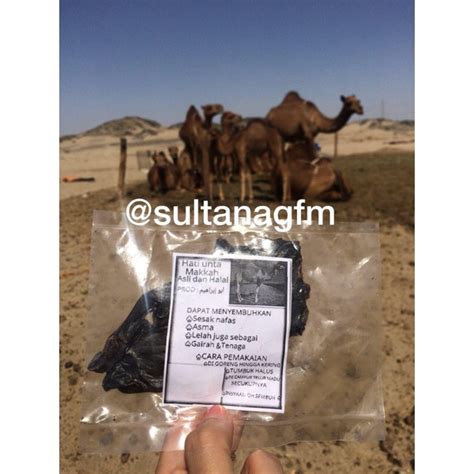 jual hati unta onta shopee indonesia