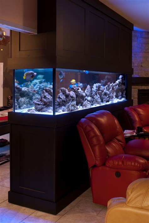 Custom Design & Installation – EverClear Aquarium Service