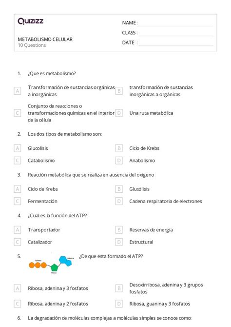 50 Metabolismo Hojas De Trabajo En Quizizz Gratis E Imprimible