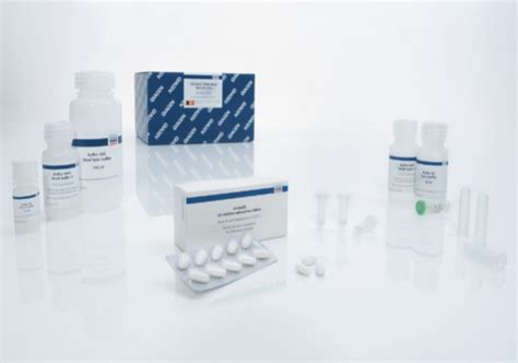 QIAGEN QIAamp DNA Stool Mini Kit 50 Laboratory Consumables