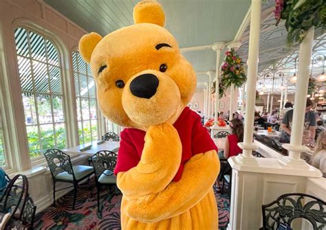 Our Complete Guide To Character Dining At Disney World