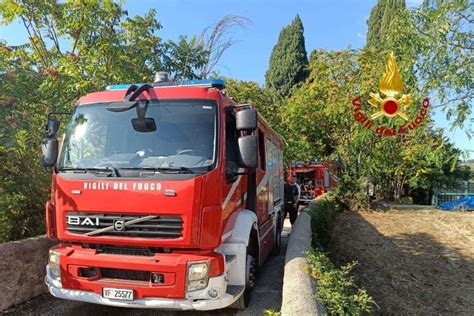 A Fuoco Sterpaglie E Uliveta Incendi A Firenze Notizie Ansa It