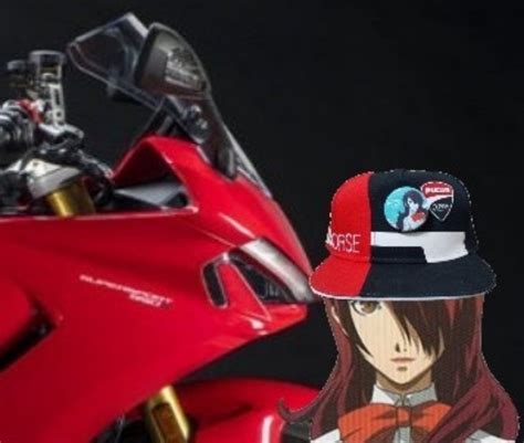 美鶴のs 龍さんの投稿した愛車情報 Gsx250r 初めまして初の投稿だ。私はバイクが好き ｜バイクのカスタム ツーリング情報ならモトクル Motocle