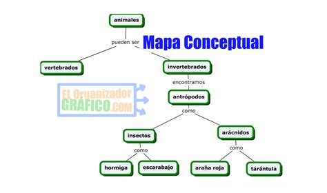 Organizadores Graficos Mind Map