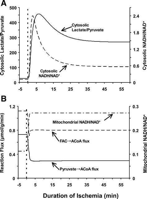 Computer Simulated Values From The Multiple Domain Model Glycolysis