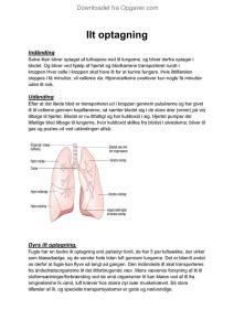 Itl Optagelse Biologi Opgaver