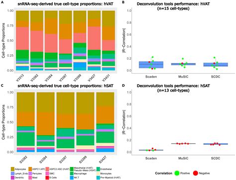 Snucconv A Bulk Rna Seq Deconvolution Method Trained On Single Nucleus