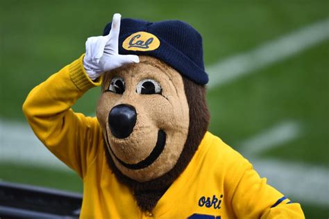 California Golden Bears Mascot History