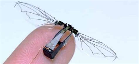 Take a break and watch this tiny insect robot fly and swim in water