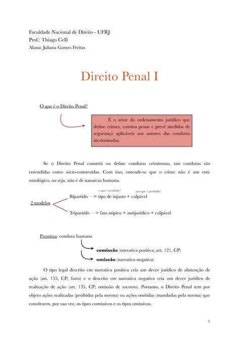 Penal I Resumos De Aulas Faculdade Nacional De Direito Ufrj Prof