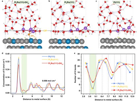 Hydrogen Bond Network Connectivity In The Electric Double Layer