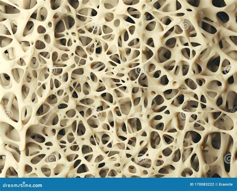 Bone Texture Macrophotography Photo Porous Material For Background