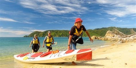 Full Day Golden Bay Freedom Kayak Abel Tasman Everything New Zealand