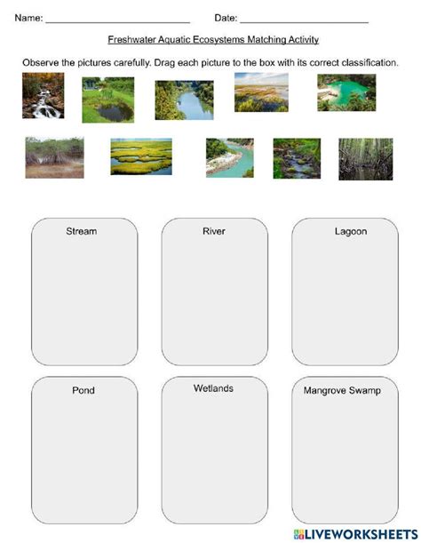 Fresh Water Ecosystems Ck 12 Foundation Worksheets Library