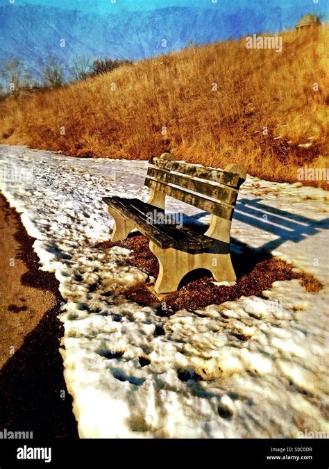 A park bench in the winter Stock Photo - Alamy