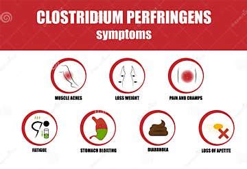 Clostridium Perfringens, Symptoms of Illness, Icon of Symptoms Stock Vector - Illustration of ...