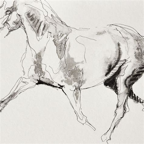 Equine Nude 106 Ink Drawing By Benedicte Gele Artfinder