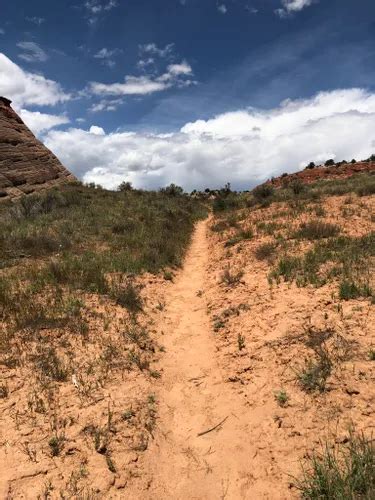 10 Best Hikes and Trails in Grand Staircase - Escalante National ...