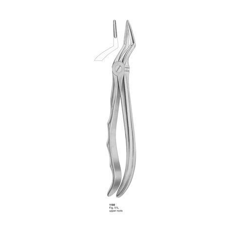 Fig L Upper Roots With Fitting Handle Dental Extraction Forcep