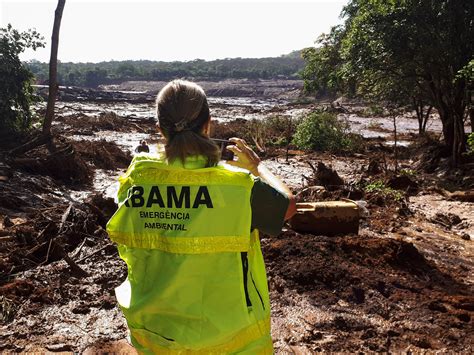 Governo Entra A O No Stj Para Suspender Greve Do Ibama