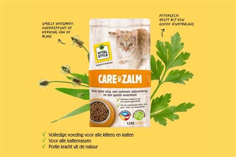 Vitalstyle Care Met Zalm Kattenbrokken Online Kopen → Dierencompleet Nl