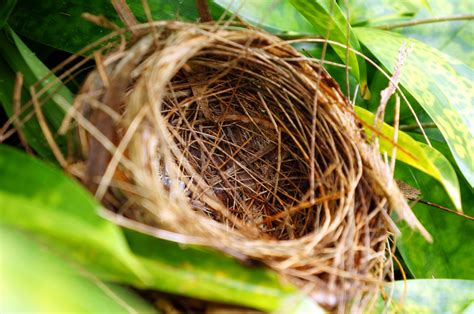 How To Prepare For A Great Empty Nest Marriage Momlife Today