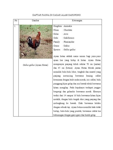 Daftar Fauna Di Cagar Alam Darupono Pdf