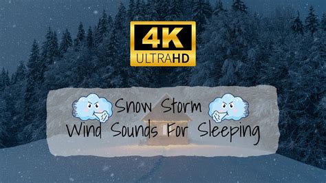 Howling Wind Sounds For Sleeping Snowstorm Sounds Sleep Sounds YouTube