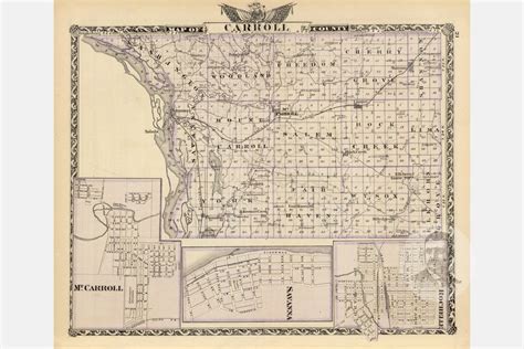 Vintage Carroll County IL Map 1876 Old Illinois Map | Etsy