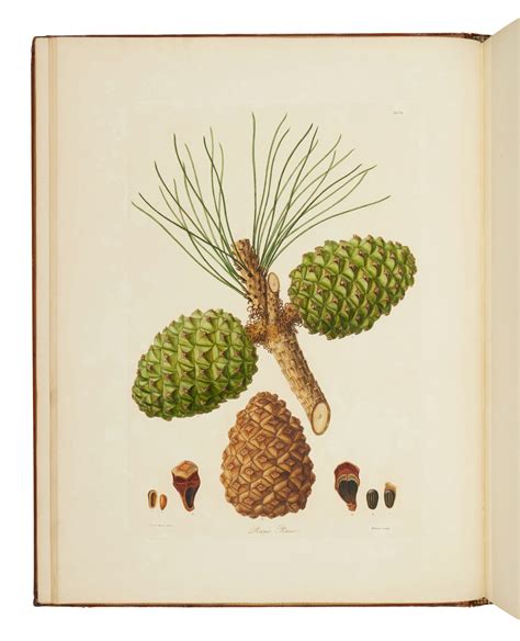 New digital tools will preserve aylmer obituaries for future generations 26