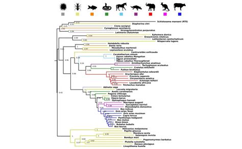 Cross Species Transfer Of Genes Has Driven Evolution Eurasia Review