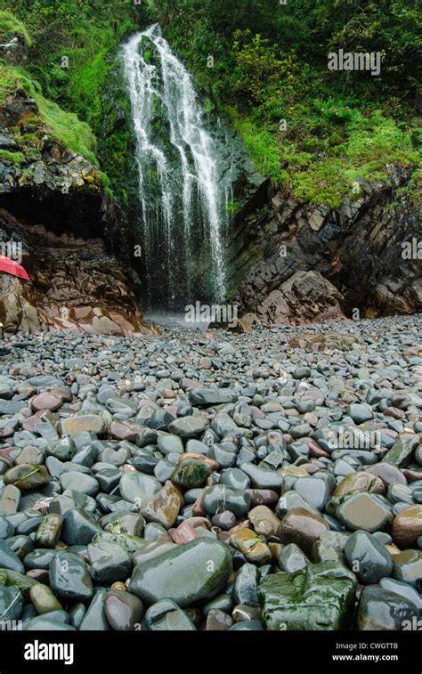 Waterfall on pebbled beach. Clovelly, Devon, England Stock Photo - Alamy