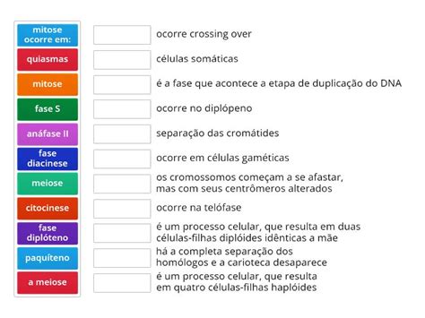 Meiose E Mitose Match Up